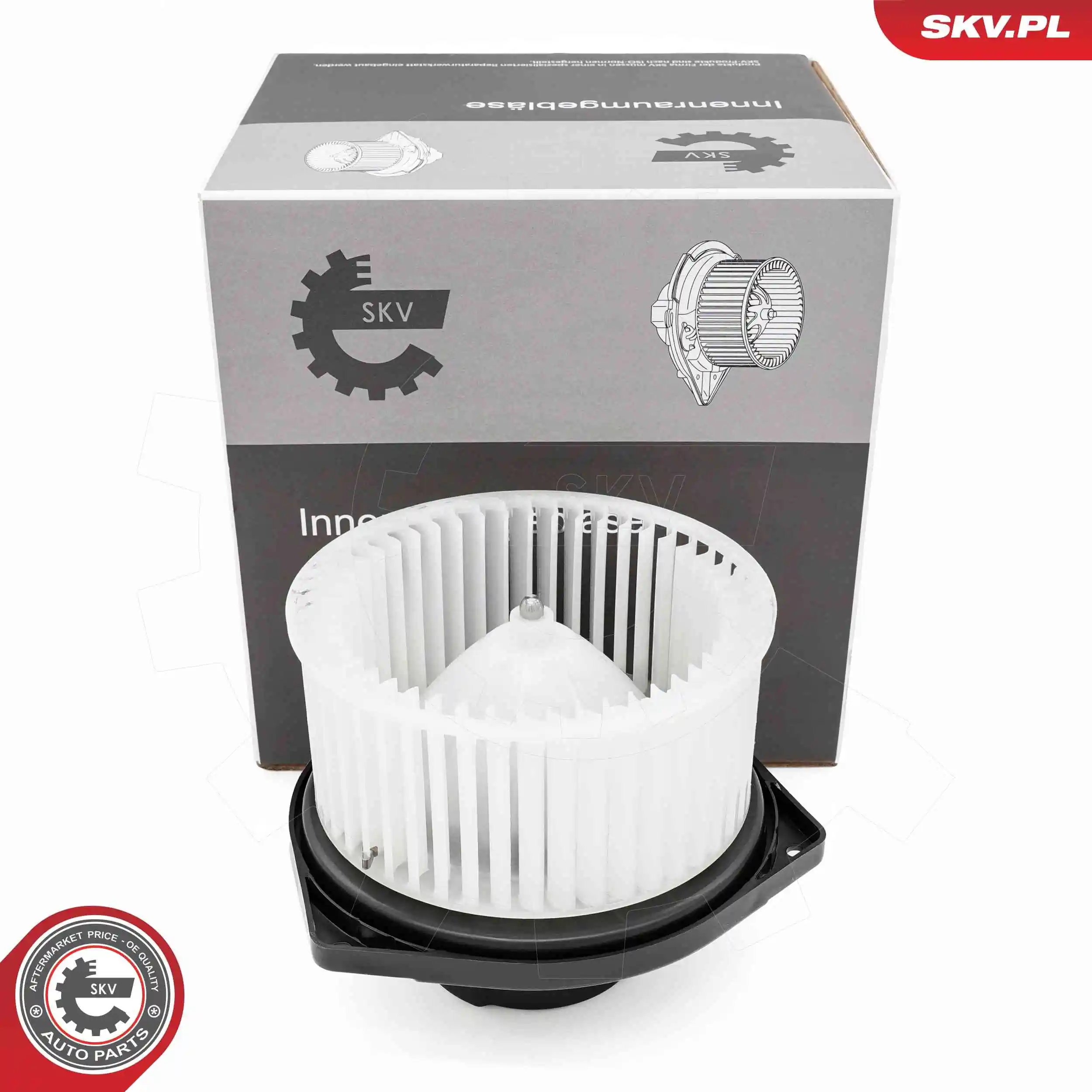 Interior Blower